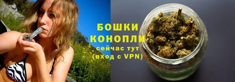 Каннабис Bruce Banner  закладки  Камбарка 